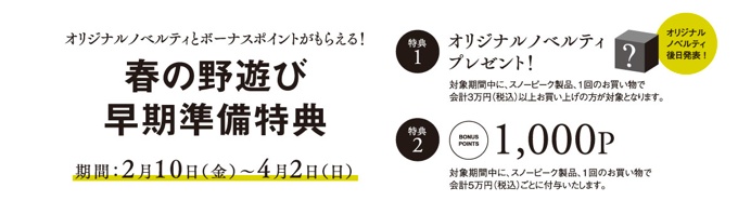 キャンペーン2