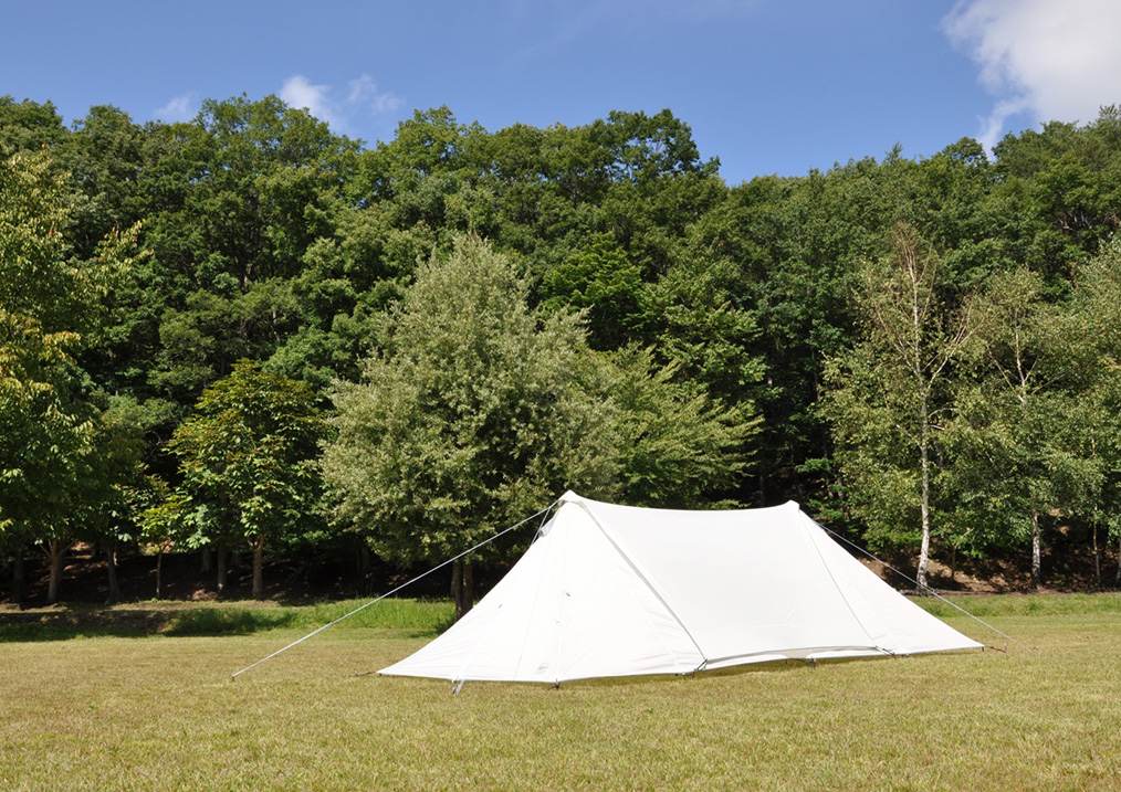 panda-tarp3.jpg Panda tarp3