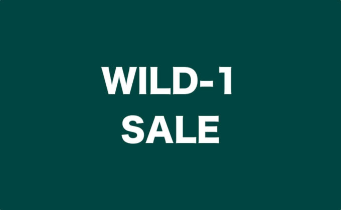 WILD-1 セール情報