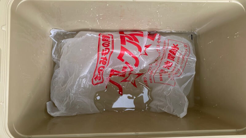 シマノ ICEBOX(アイスボックス)ST 保冷力実験 3日目 8:00 2